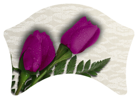 DABAN-053 2 Roses Orchid